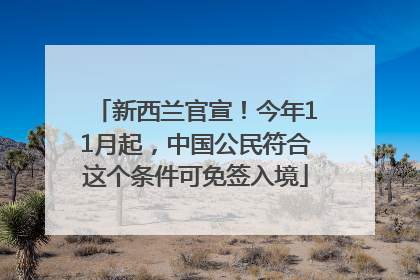 新西兰官宣！今年11月起，中国公民符合这个条件可免签入境