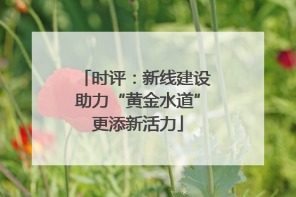 时评：新线建设助力“黄金水道”更添新活力