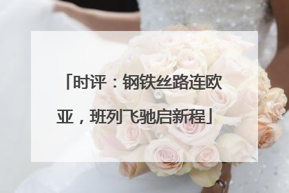 时评：钢铁丝路连欧亚，班列飞驰启新程