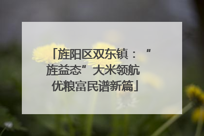 旌阳区双东镇：“旌益态”大米领航 优粮富民谱新篇