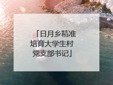 日月乡精准培育大学生村党支部书记