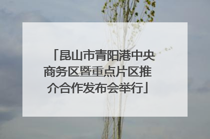 昆山市青阳港中央商务区暨重点片区推介合作发布会举行