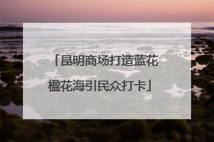 昆明商场打造蓝花楹花海引民众打卡