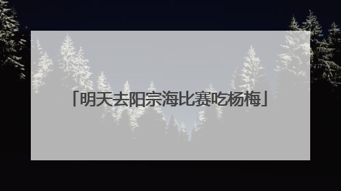 明天去阳宗海比赛吃杨梅