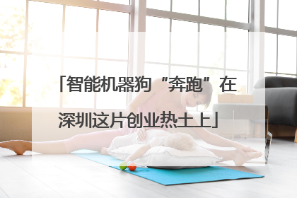 智能机器狗“奔跑”在深圳这片创业热土上