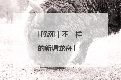 晚潮｜不一样的新塘龙舟