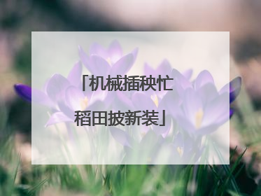 机械插秧忙 稻田披新装