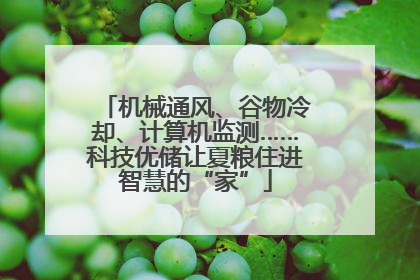 机械通风、谷物冷却、计算机监测……科技优储让夏粮住进智慧的“家”