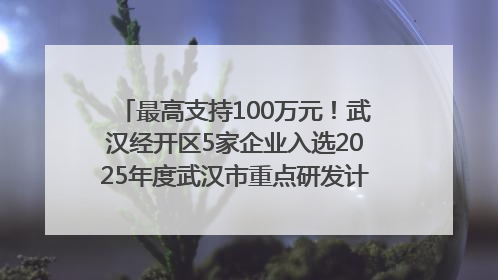 最高支持100万元！武汉经开区5家企业入选2025年度武汉市重点研发计划拟立项项目名单