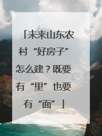 未来山东农村“好房子”怎么建？既要有“里”也要有“面”