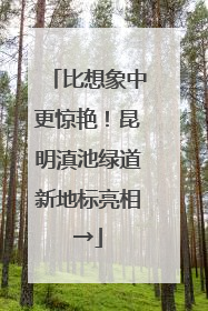 比想象中更惊艳！昆明滇池绿道新地标亮相→