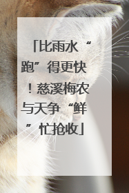 比雨水“跑”得更快！慈溪梅农与天争“鲜”忙抢收