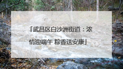 武昌区白沙洲街道：浓情迎端午 粽香送安康