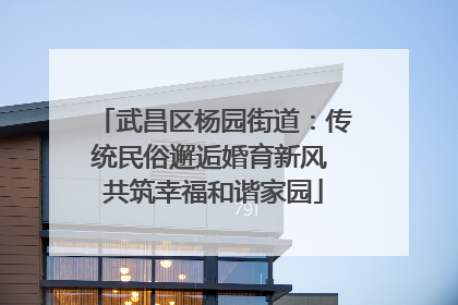 武昌区杨园街道：传统民俗邂逅婚育新风 共筑幸福和谐家园