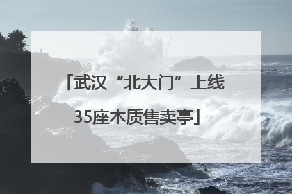 武汉“北大门”上线35座木质售卖亭