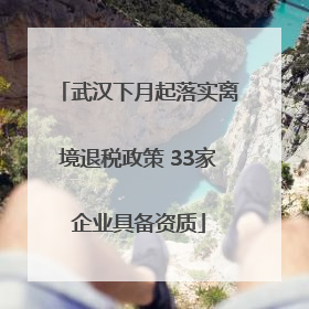武汉下月起落实离境退税政策 33家企业具备资质
