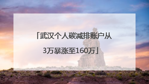 武汉个人碳减排账户从3万暴涨至160万