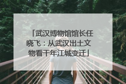 武汉博物馆馆长任晓飞：从武汉出土文物看千年江城变迁