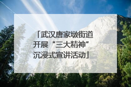 武汉唐家墩街道开展“三大精神”沉浸式宣讲活动