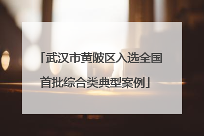 武汉市黄陂区入选全国首批综合类典型案例