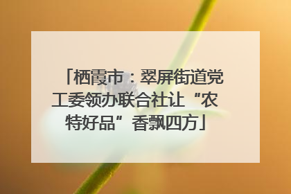 栖霞市：翠屏街道党工委领办联合社让“农特好品”香飘四方