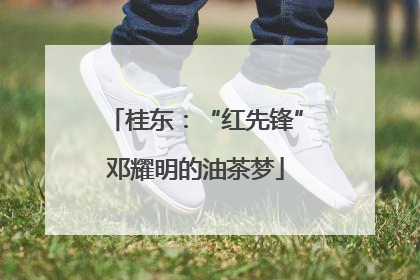 桂东：“红先锋”邓耀明的油茶梦