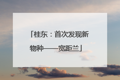 桂东：首次发现新物种——宽距兰