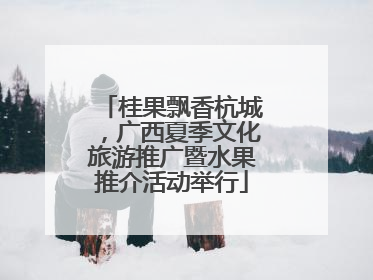 桂果飘香杭城，广西夏季文化旅游推广暨水果推介活动举行