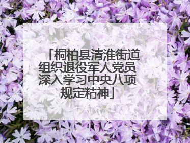 桐柏县清淮街道组织退役军人党员深入学习中央八项规定精神
