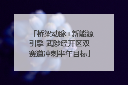 桥梁动脉+新能源引擎 武陟经开区双赛道冲刺半年目标