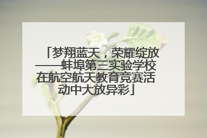 梦翔蓝天，荣耀绽放——蚌埠第三实验学校在航空航天教育竞赛活动中大放异彩