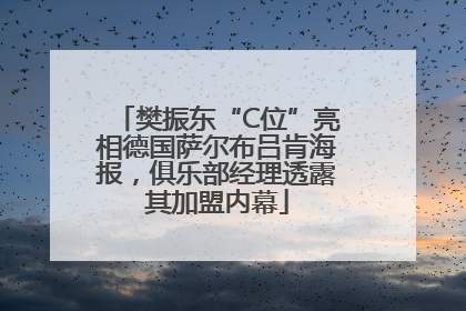 樊振东“C位”亮相德国萨尔布吕肯海报，俱乐部经理透露其加盟内幕