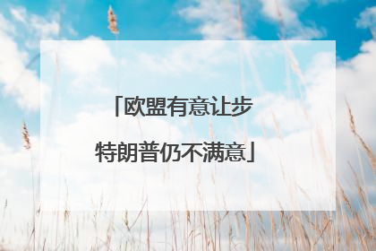 欧盟有意让步 特朗普仍不满意