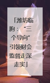 潍坊临朐：“三个导向”引领财会监督走深走实