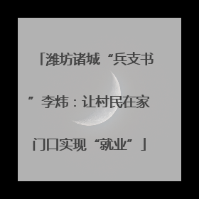 潍坊诸城“兵支书”李炜：让村民在家门口实现“就业”