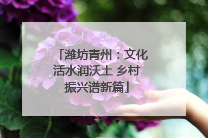 潍坊青州：文化活水润沃土 乡村振兴谱新篇