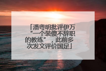 潘粤明批评伊万“一个装傻不辞职的教练”，此前多次发文评价国足
