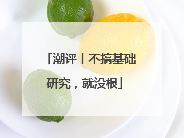 潮评丨不搞基础研究，就没根