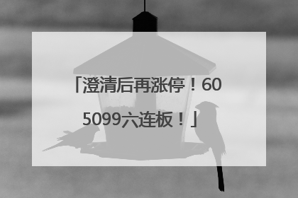 澄清后再涨停！605099六连板！
