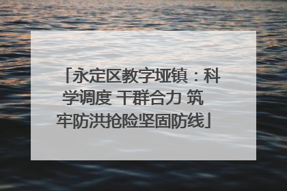 永定区教字垭镇：科学调度 干群合力 筑牢防洪抢险坚固防线