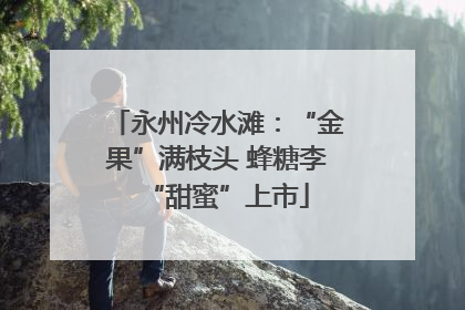 永州冷水滩：“金果”满枝头 蜂糖李“甜蜜”上市