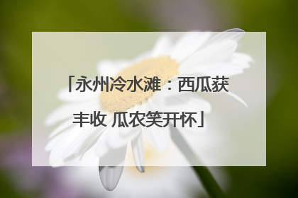 永州冷水滩：西瓜获丰收 瓜农笑开怀
