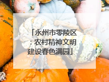 永州市零陵区：农村精神文明建设春色满园