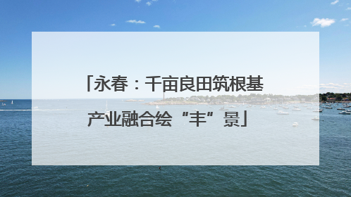 永春：千亩良田筑根基 产业融合绘“丰”景