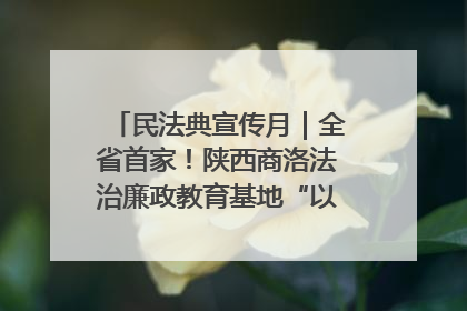 民法典宣传月｜全省首家！陕西商洛法治廉政教育基地“以案说纪”润人心
