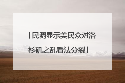 民调显示美民众对洛杉矶之乱看法分裂