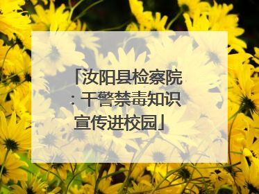 汝阳县检察院：干警禁毒知识宣传进校园