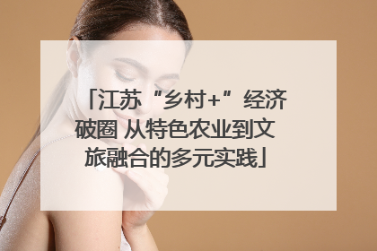 江苏“乡村+”经济破圈 从特色农业到文旅融合的多元实践