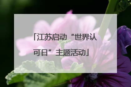 江苏启动“世界认可日”主题活动