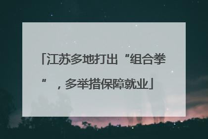 江苏多地打出“组合拳”，多举措保障就业